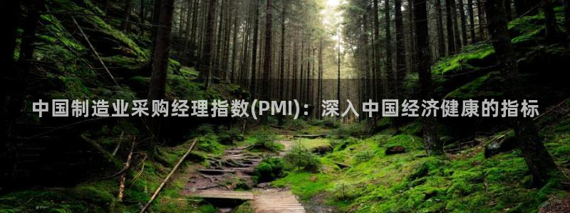 彩神v平台