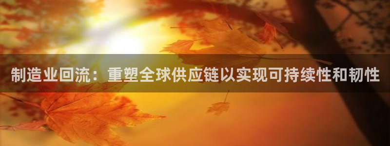 彩神iv是正规平台吗?：制造业回流：重塑全球供应链以实现可持续性和韧性