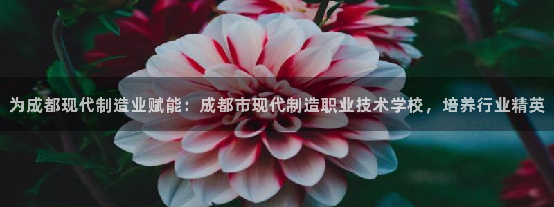 彩神网合法吗：为成都现代制造业赋能：成都市现代制造职业技术学校，培养行业精英