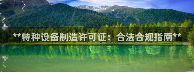 在彩神网输了六万多怎么拿回来：**特种设备制造许可证：合法合规指南**