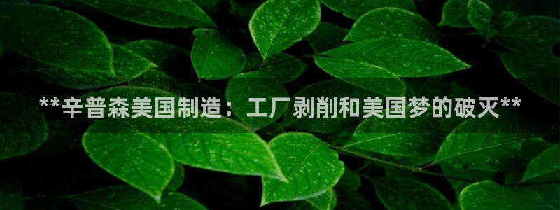 彩神赢的钱是哪里来的：**辛普森美国制造：工厂剥削和美国梦的