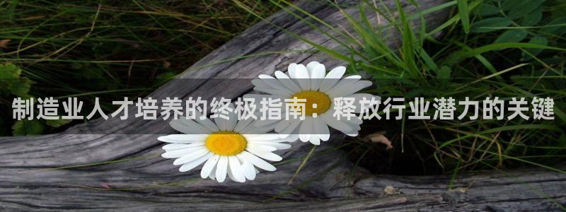 下载彩神通关注金码：制造业人才培养的终极指南：释放行业潜力的关键