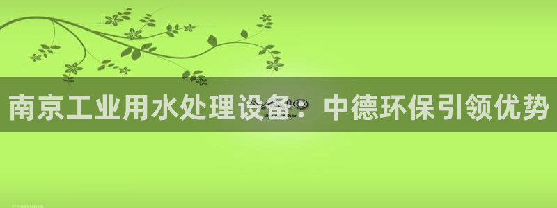 彩神v8手机客户端在哪：南京工业用水处理设备：中德环保引领优