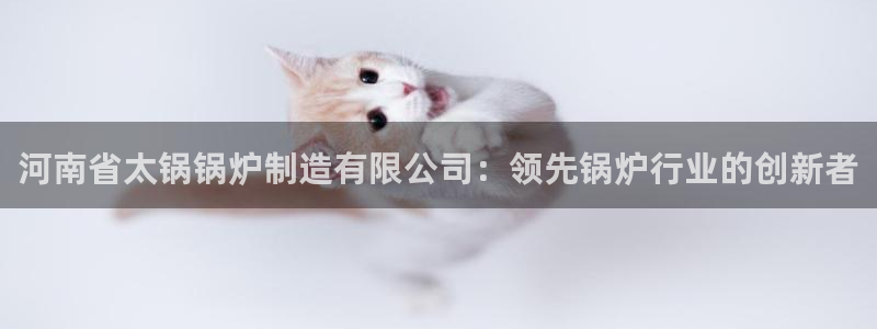 彩神大发cp：河南省太锅锅炉制造有限公司：领先锅炉行业的创新者