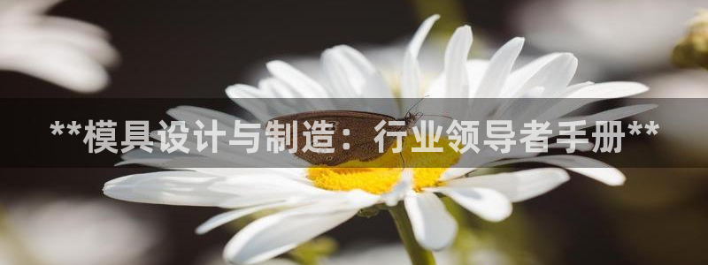 彩神平台是什么套路：**模具设计与制造：行业领导者手册**