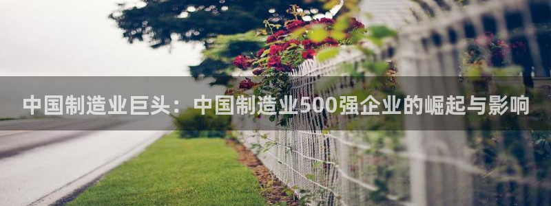 彩神ios下载：中国制造业巨头：中国制造业500强企业的崛起与影响