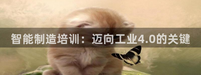 彩神 好 平台