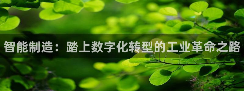 彩神v破解版：智能制造：踏上数字化转型的工业革命之路