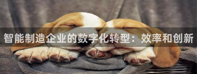 彩神iv能赚钱吗：智能制造企业的数字化转型：效率和创新