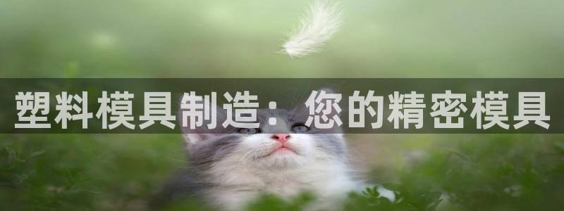 彩神ix官网：塑料模具制造：您的精密模具