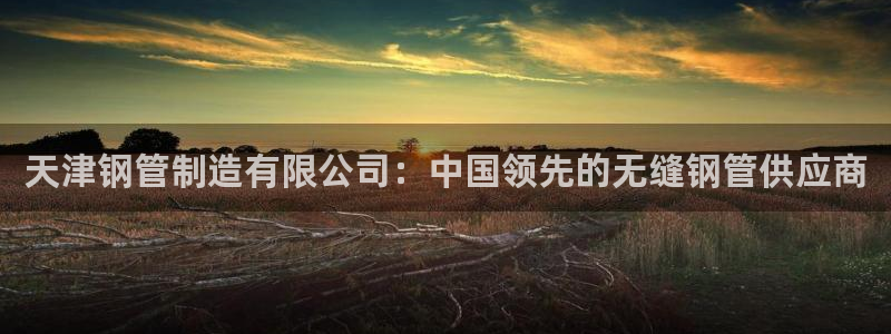 彩神是正规平台吗知乎：天津钢管制造有限公司：中国领先的无缝钢管供应商