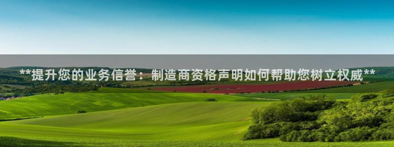彩神ⅴll是什么样平台：**提升您的业务信誉：制造商资格声明如何帮助您树立权威**