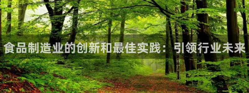 彩神平台可以破解吗：食品制造业的创新和最佳实践：引领行业未来