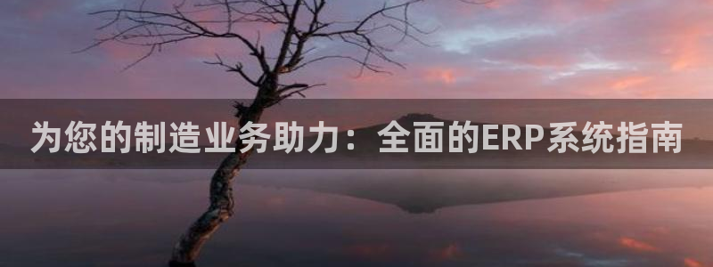 彩神ix平台：为您的制造业务助力：全面的ERP系统指南