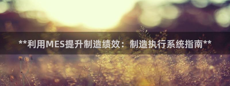 彩神v8几个版本：**利用MES提升制造绩效：制造执行系统指南**