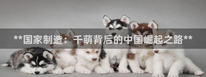 彩神官方登录：**国家制造：千萌背后的中国崛起之路**