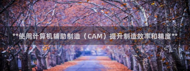 彩神vⅲ下载安装：**使用计算机辅助制造（CAM）提升制造效率和精度**