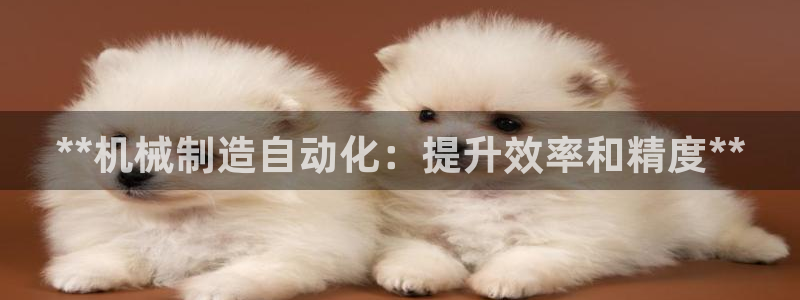 彩神vlll游戏特色：**机械制造自动化：提升效率和精度**