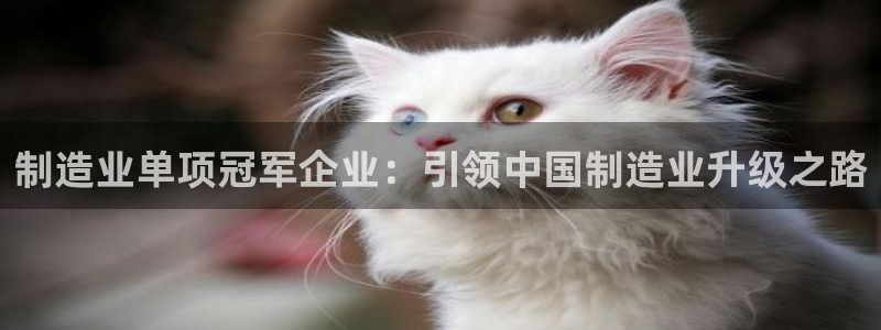 彩神8彩平台：制造业单项冠军企业：引领中国制造业升级之路