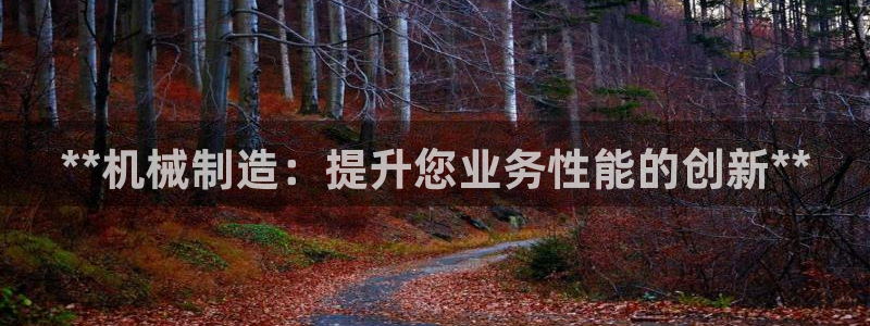 彩神通官方网：**机械制造：提升您业务性能的创新**