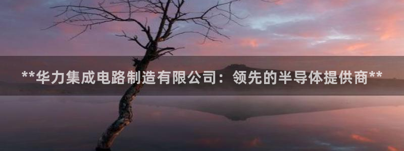 彩神vii官网：**华力集成电路制造有限公司：领先的半导体提供商**
