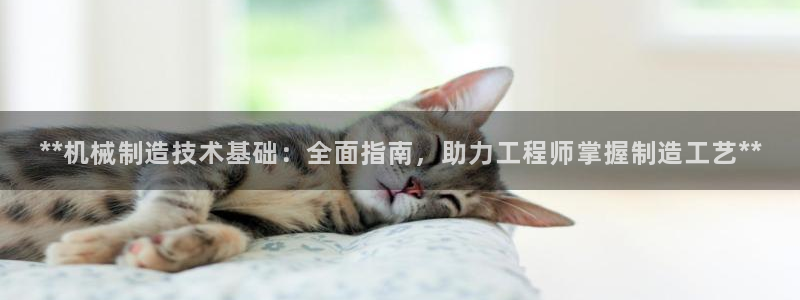 彩神是正规平台吗是真的吗：**机械制造技术基础：全面指南，助力工程师掌握制造工艺**