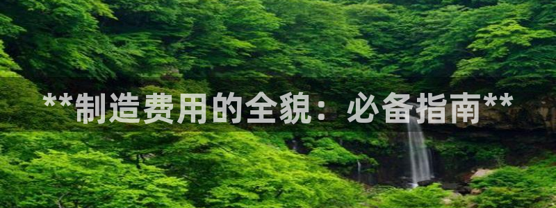 彩神v8平台正规吗可靠吗：**制造费用的全貌：必备指南**