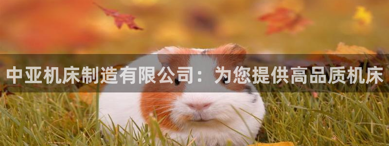 彩神v8客户端：中亚机床制造有限公司：为您提供高品质机床