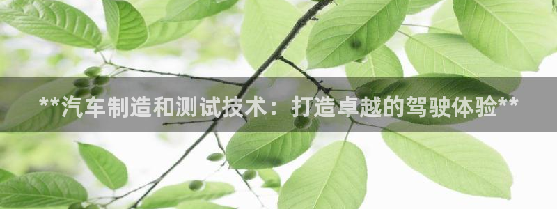 彩神ix平台：**汽车制造和测试技术：打造卓越的驾驶体验**
