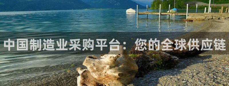 彩神ix官网：中国制造业采购平台：您的全球供应链