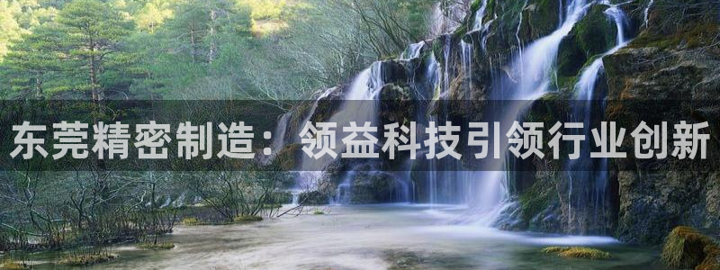 彩神8购彩-购彩大厅：东莞精密制造：领益科技引领行业创新