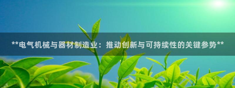 彩神大发黑平台：**电气机械与器材制造业：推动创新与可持续性