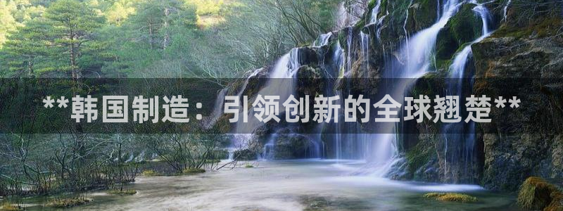 彩神Vii购彩-购彩大厅：**韩国制造：引领创新的全球翘楚**