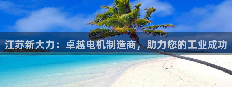 彩神v争霸有限公司：江苏新大力：卓越电机制造商，助力您的工业成功