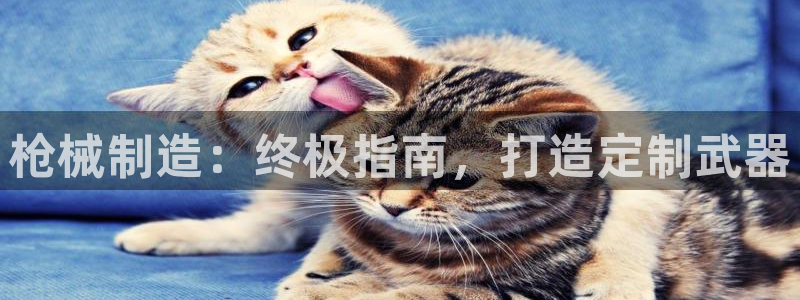 彩神通关注码金码对应码：枪械制造：终极指南，打造定制武器