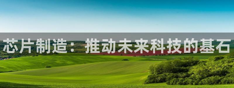 彩神赢了钱登录不上去：芯片制造：推动未来科技的基石