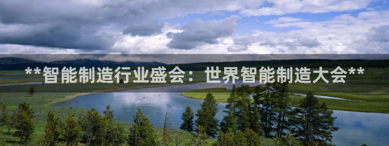 大发彩神最高邀请码：**智能制造行业盛会：世界智能制造大会**