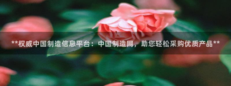 彩神v1官网：**权威中国制造信息平台：中国制造网，助您轻松采购优质产品**