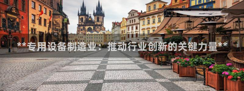 彩神系列平台：**专用设备制造业：推动行业创新的关键力量**