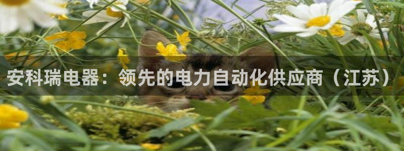 彩神争霸平台：安科瑞电器：领先的电力自动化供应商（江苏）
