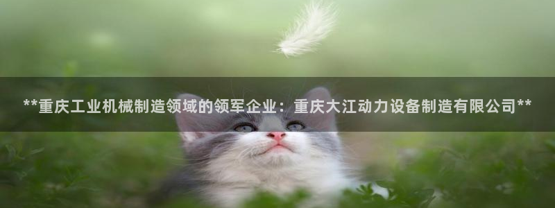 彩神v网赌软件下载：**重庆工业机械制造领域的领军企业：重庆大江动力设备制造有限公司**