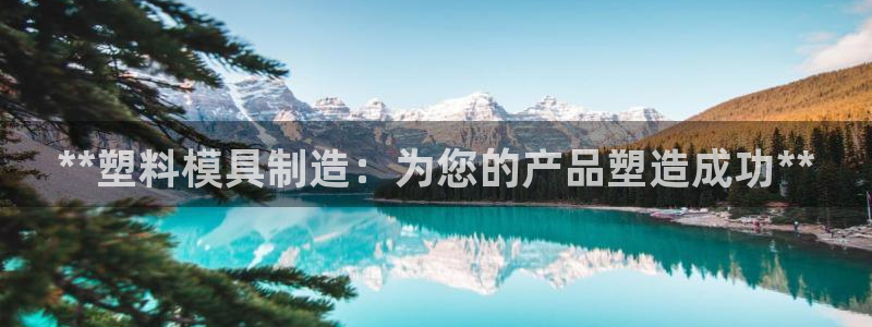 彩神vlll游戏特色：**塑料模具制造：为您的产品塑造成功*