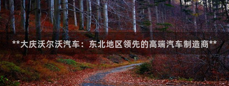 彩神iv争霸购彩大厅：**大庆沃尔沃汽车：东北地区领先的高端