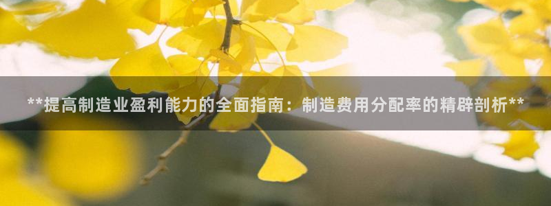 有谁知道彩神争霸的网址：**提高制造业盈利能力的全面指南：制