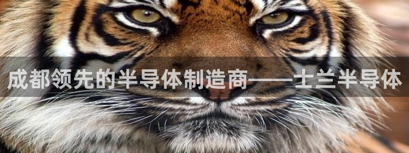 彩神v8客户端：成都领先的半导体制造商——士兰半导体