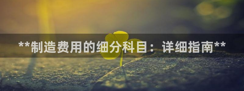 彩神 好 平台：**制造费用的细分科目：详细指南**