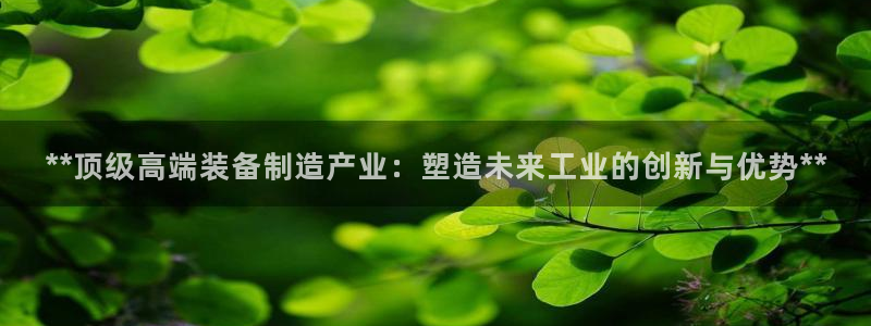 彩神v下载安装：**顶级高端装备制造产业：塑造未来工业的创新与优势**