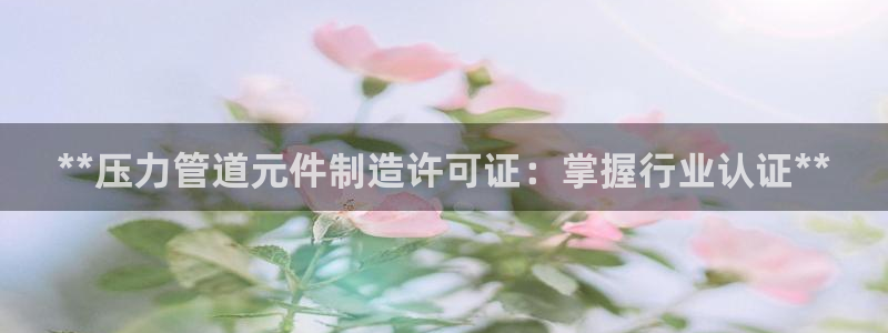 彩神v8手机客户端下载：**压力管道元件制造许可证：掌握行业认证**