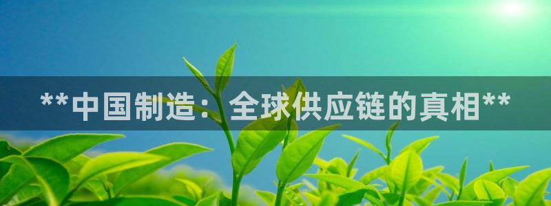 彩神广告有限公司：**中国制造：全球供应链的真相**