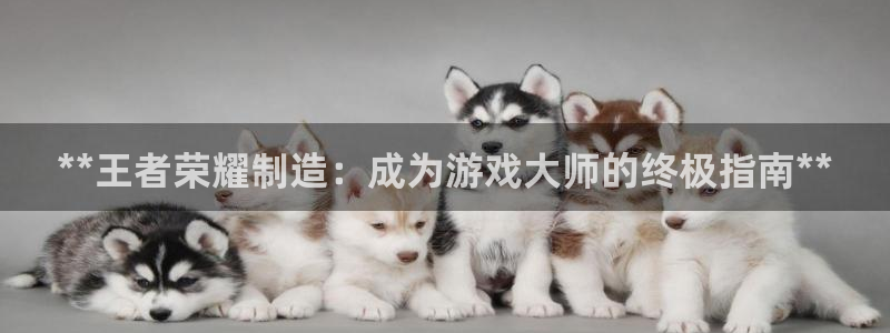 彩神用户登录：**王者荣耀制造：成为游戏大师的终极指南**